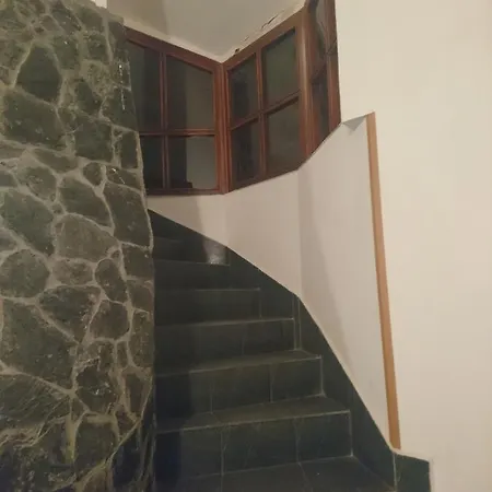 Lodge Forest Pernik
