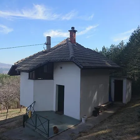 Forest Lodge